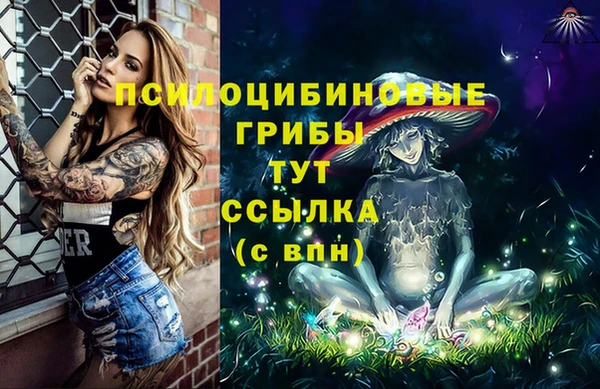 каннабис Алзамай