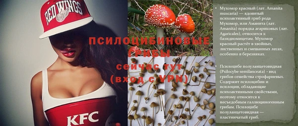 винт Алексин