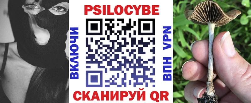 купить наркоту  Невьянск  Псилоцибиновые грибы Magic Shrooms 